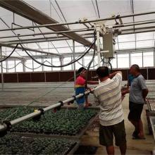 廣西欽州市青龍山莊英美苗木基地 育苗用品與農副產品的專業供應商